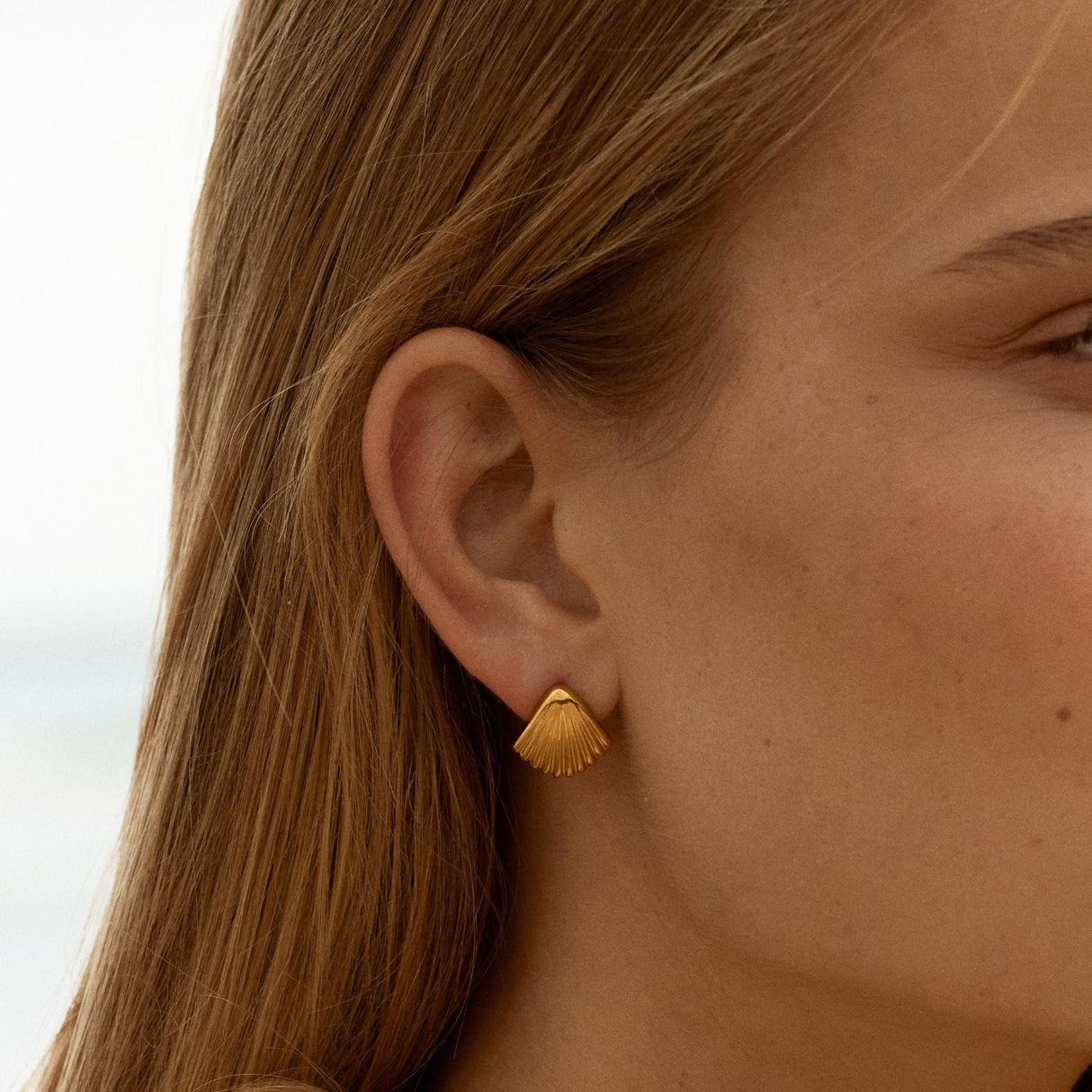 Seashell Earrings